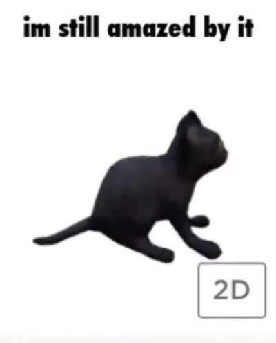 relateion to huemin? no. stair at kot. Admires