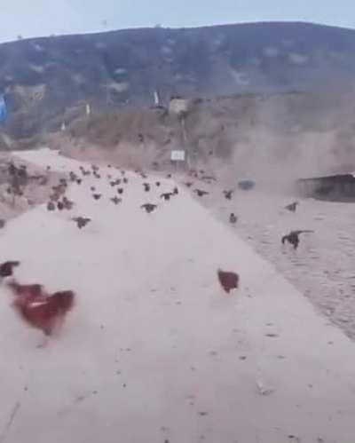 Russian front line in Kherson