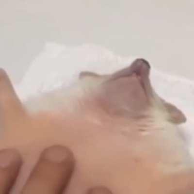 So soft...oooh baby let's fade to black.