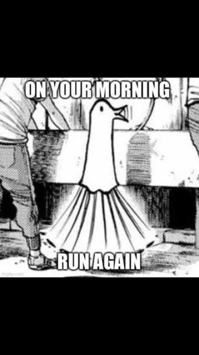 oyasumi pinkpantheress