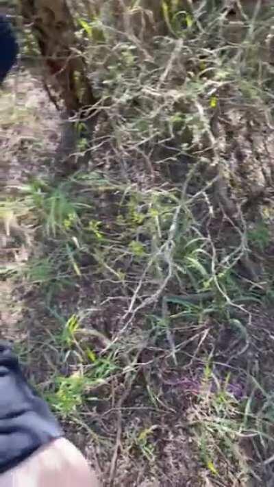 Just bend me over and fuck me no matter where we go