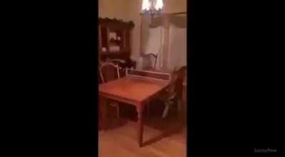 Loucuras na quarentena