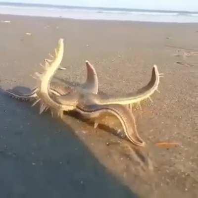 🔥 Something you don't see every day