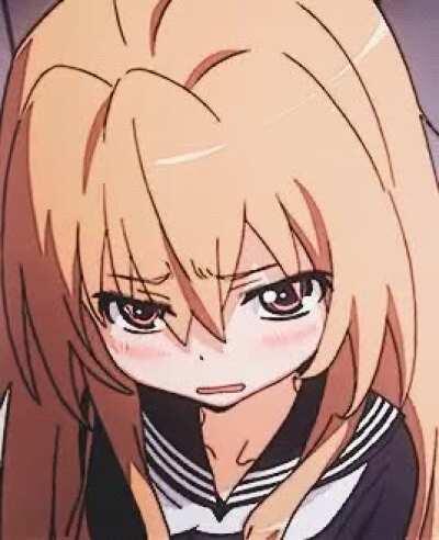 Taiga is the BEST girl in anime, like...