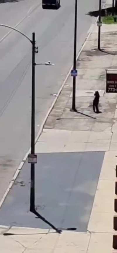 What could go wrong throwing rocks at cars