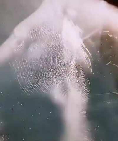 Scratching on a board