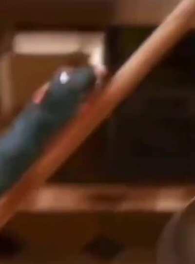 Ratón culiao salió volando