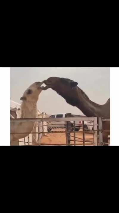 He loves her sooo much