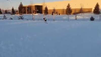 This Dog Is So Happy To Have A New Coat And Booties