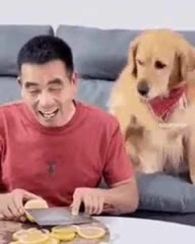 A DoG bRutaLLy AttAcks HiS ownEr AfTeR rEceiviNg a frUiTFul SnAck