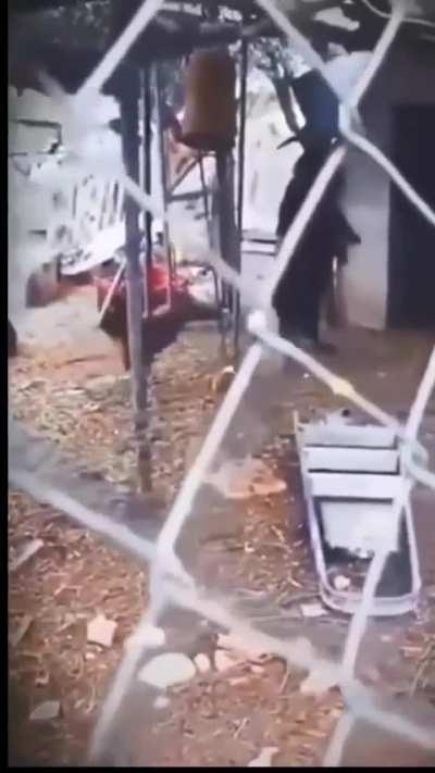 Selling the goat for no reason