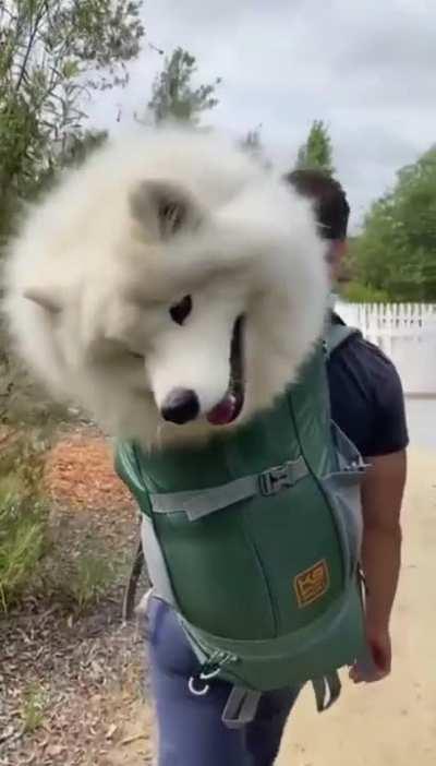 Traveling is very easy and interesting, especially like this.