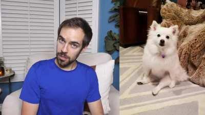 Which one of your dogs can hit terminal velocity first? (Courtesy of jacksfilms)