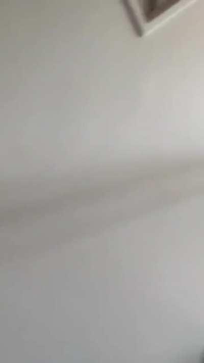 (OC) Uncle was asked to clean this guys house and left before he put his mask on