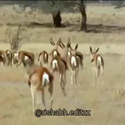IG rishabh.editzz se uthaya hai 🔥
