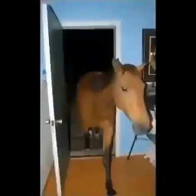 An interesting title