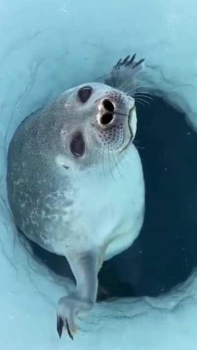 Automated valve with a tight seal