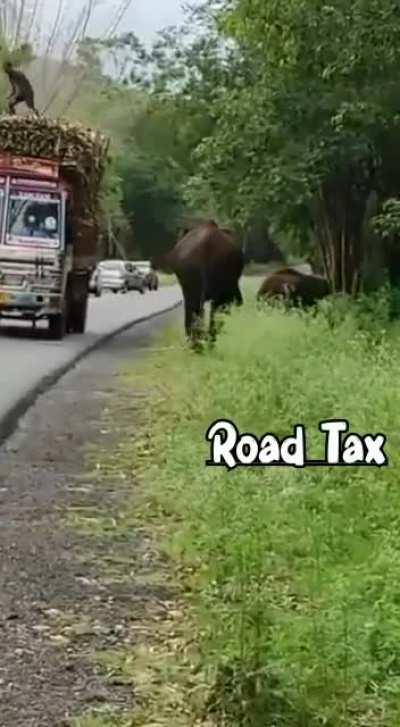 Road Tax