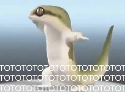 Luangameplay666 - Video #7637