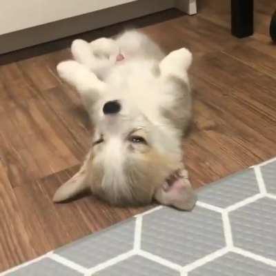 I'm So Tired Playing, Now Its My Nap Time