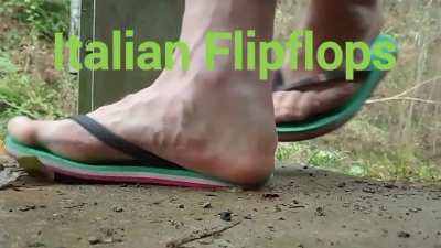 Half Final 2: Italian Flipflops v/s Pink Flipflops. Intro