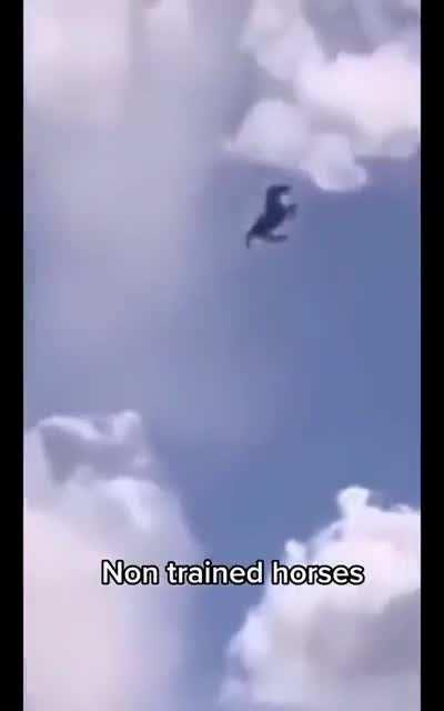 thee vegetarian tutor