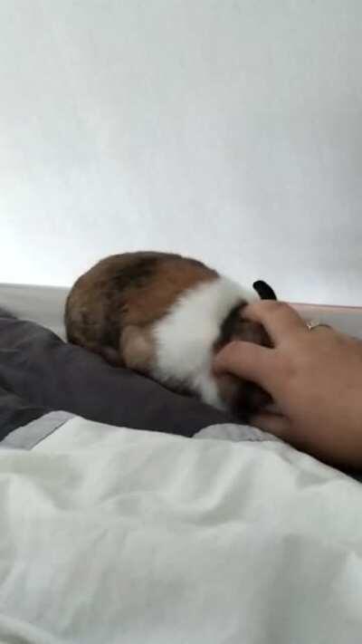 Yes ... Yes ... Wait ! Are you filming ?