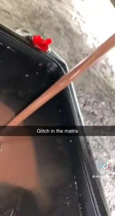 forbidden chocolate milk