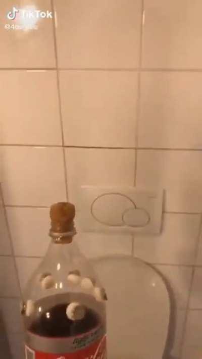 Abrupt toilet adventure