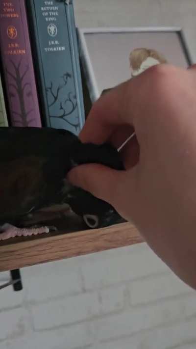 He's not supposed to sit there and he knows it. Watch to learn why.