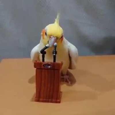 👏👏👏👏👏👏👏