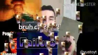 bruh cat?!?!?!?!!21!1!1!1!