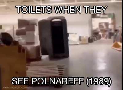 Polnareff’s Toilet Adventure