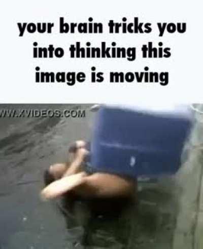 Fuck you I wish you were dead