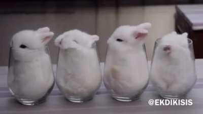 4 of the most precious kind