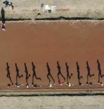 Sunlight hitting these runners are the perfect Angle