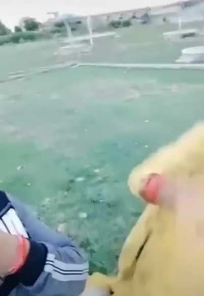 This just made my day