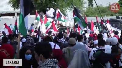 The world stands with Palestine