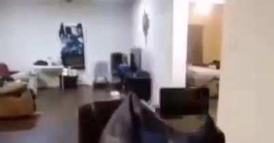 Hey Guys!! ( N tem gore adms )