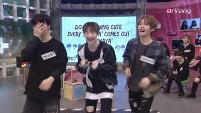 Hyunjin , chan and lee know unit aegyoo 😭😭🥟😼🐺 (Hyunjin is like just kill me already 😭😭) NOTE : video contains footage of former skz member