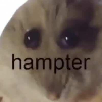 U wil shid brick wen see it😱😱