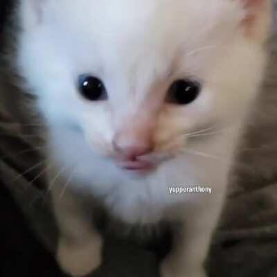 LOVING YOU IS COMPLICATED