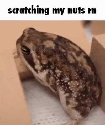 my nuhts dot jay peg