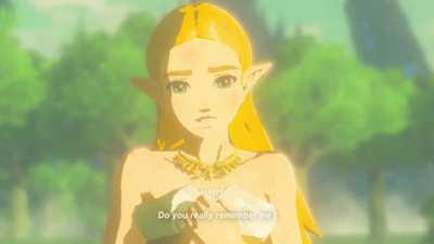 Zelda refreshes Links memory