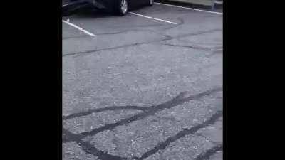 Gunman flees after publically killing correctional officer in a busy Walmart Parking lot in North Delta, BC Canada (+AFTERMATH)(credit @ezratherealist)