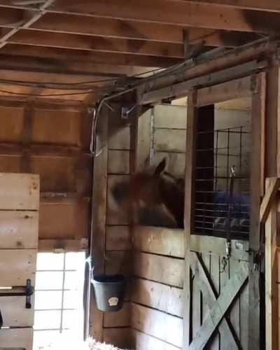 I was listening to music and then I looked over and saw this...