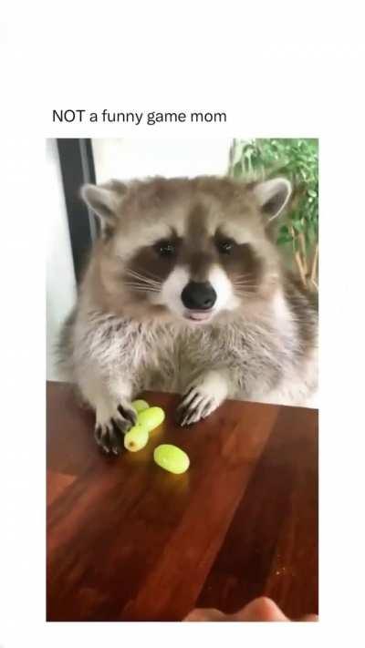 Go away, they are all mine.