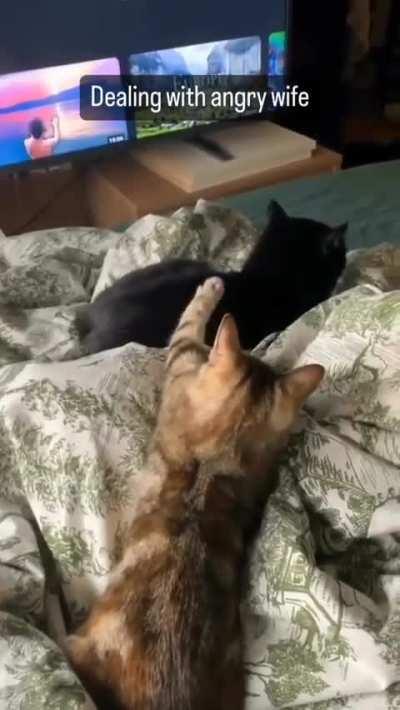 Dealing with angry wife