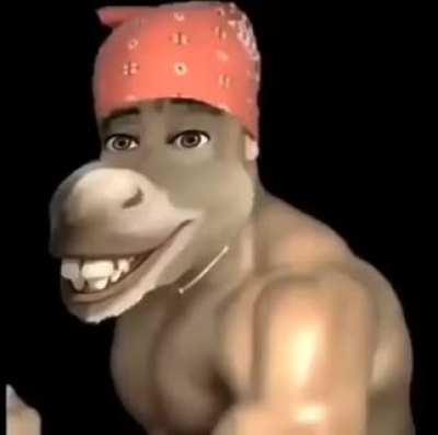 le epic funny lion king