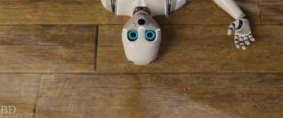 A Guest is Found [BDAnimare]